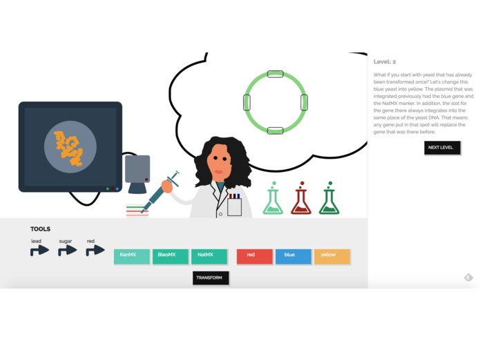 Playsmid – screenshot 2