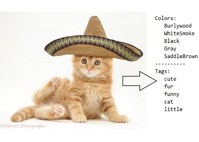 Touch for Color – screenshot 2
