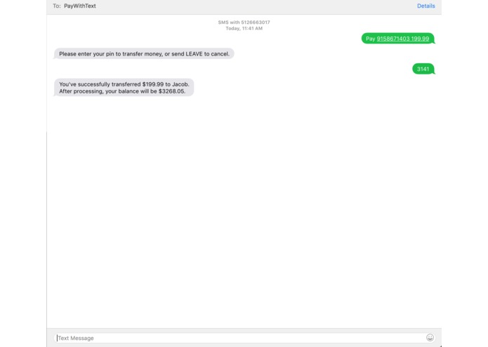 PayWithText – screenshot 1