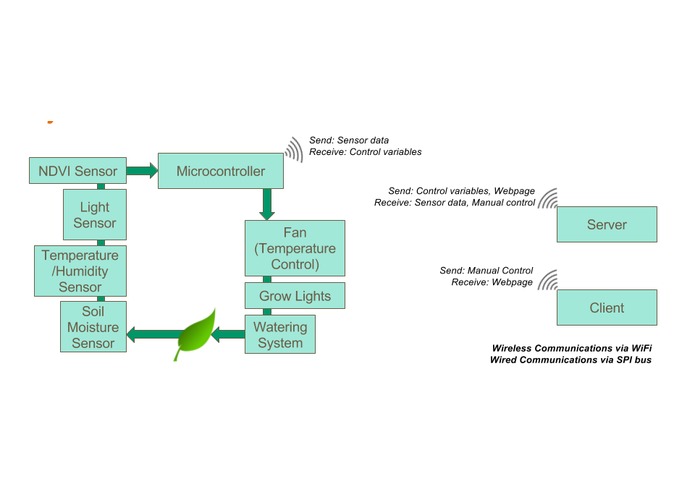 Barn Owl – screenshot 1