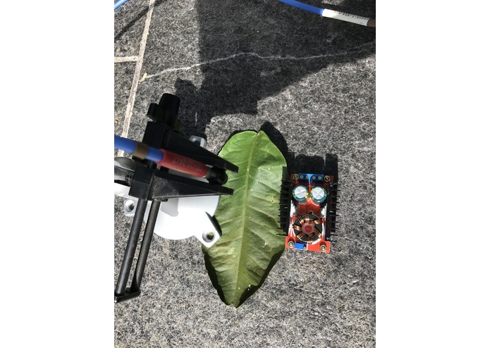 Barn Owl – screenshot 4