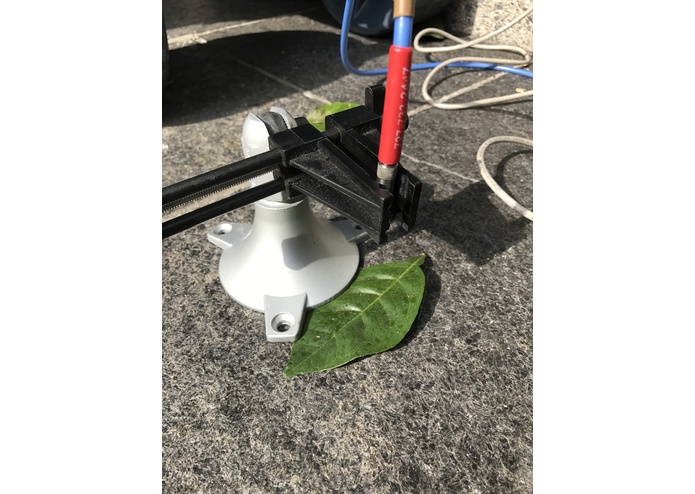 Barn Owl – screenshot 5