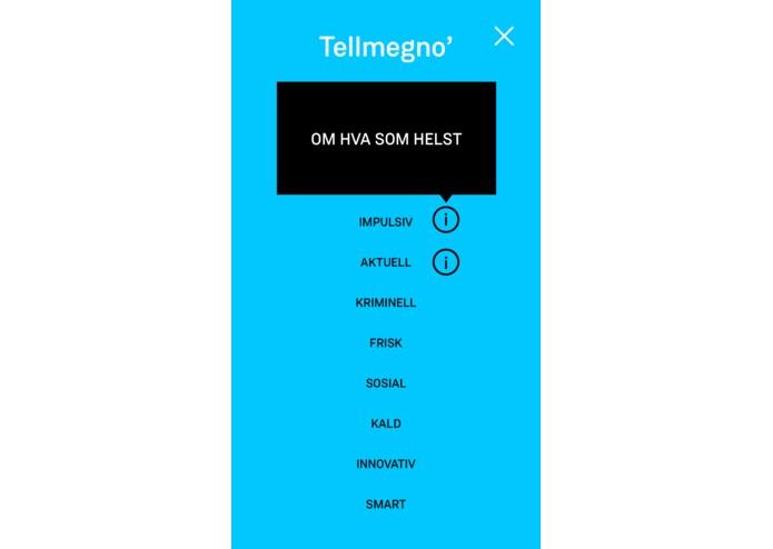 Tellmeg.no – screenshot 3