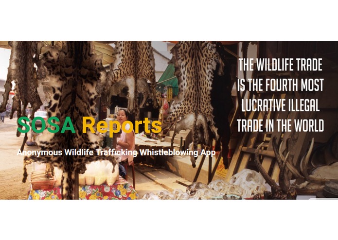 Sosa Reports – screenshot 1