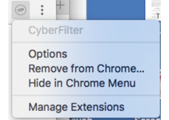 CyberFilter Chrome Extension – screenshot 1