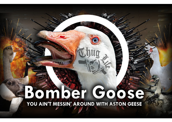 Bomber Goose – screenshot 1