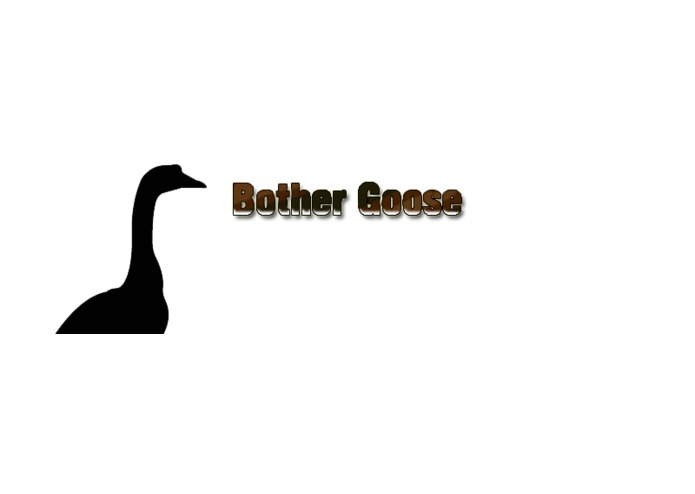 Bother Goose – screenshot 1