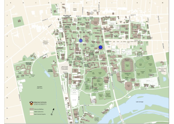 Hungry Hungry Tigers – screenshot 1