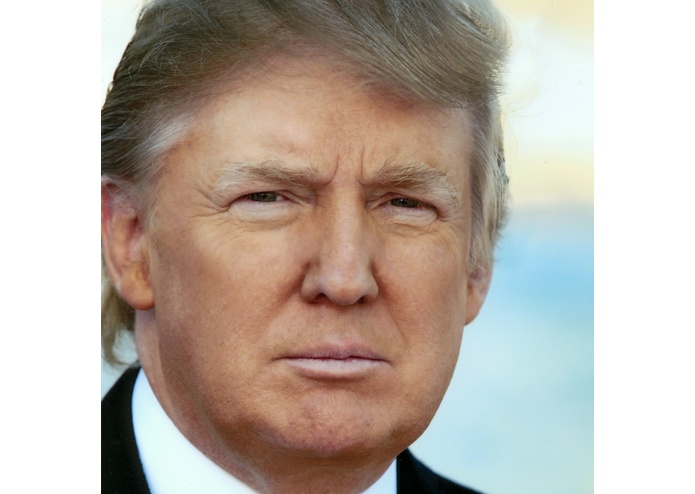 Trumpku – screenshot 1