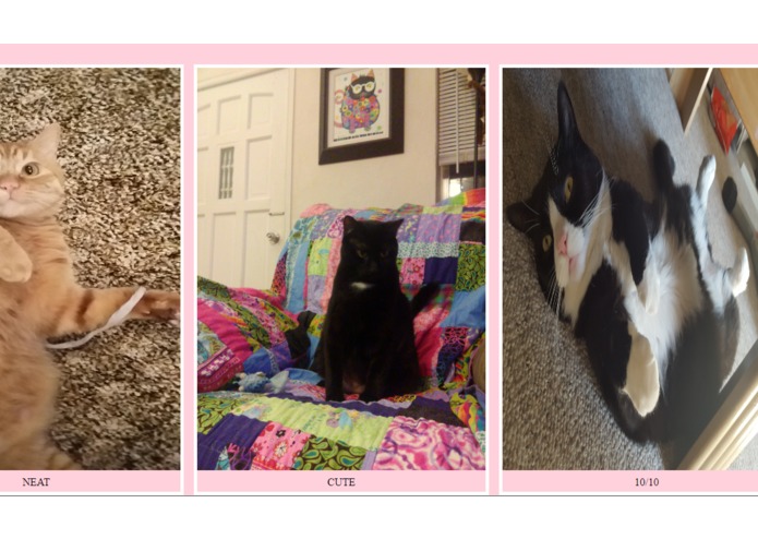 Ugly Cats – screenshot 2