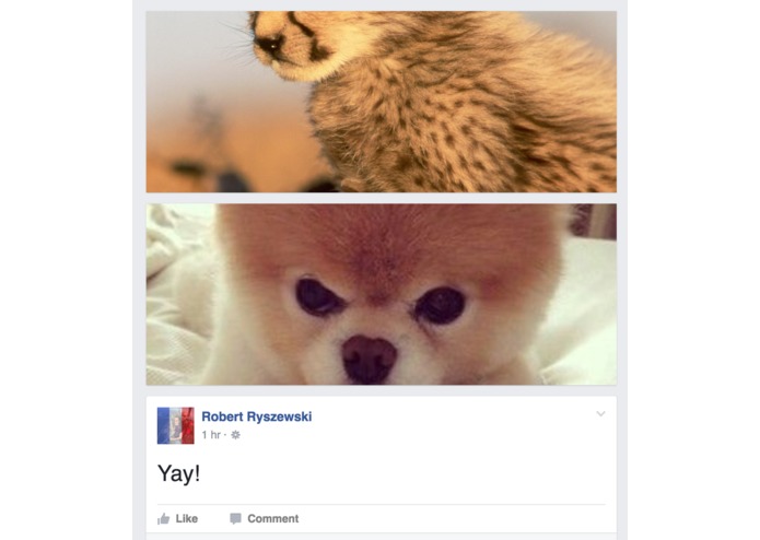 No Shitposts – screenshot 1