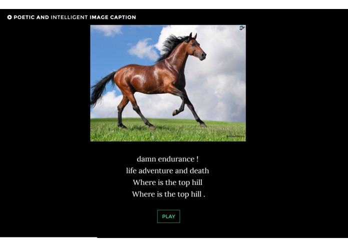 PIIC - Poetic and Intelligent Image Caption – screenshot 1