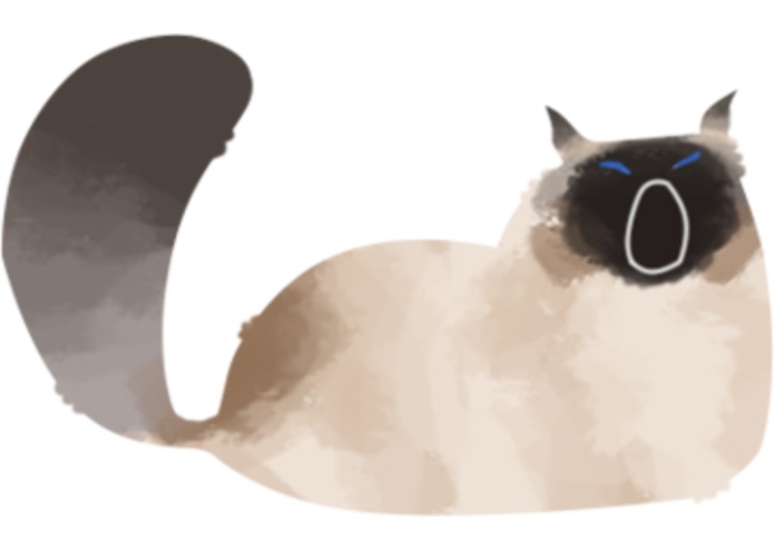 ourshelter – screenshot 4