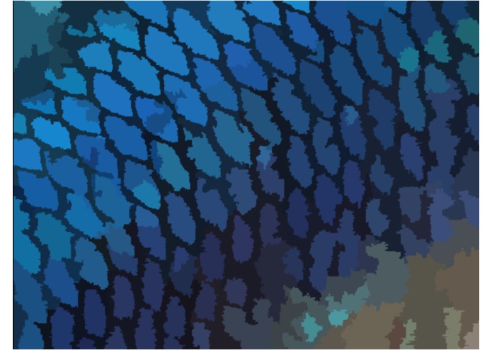 Tanvas Image Processor – screenshot 2