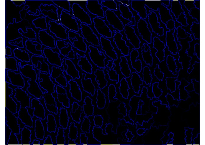 Tanvas Image Processor – screenshot 4