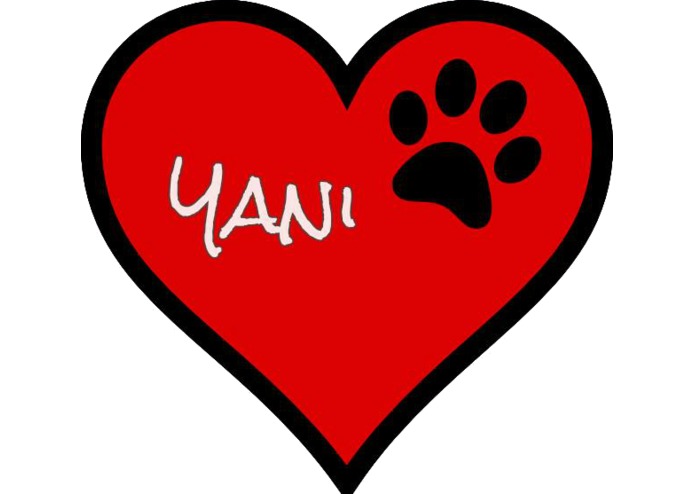 Yani-Team12 – screenshot 1