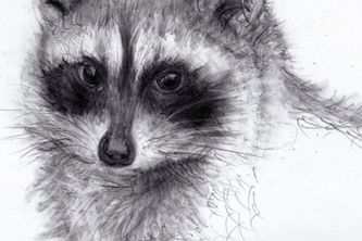 RaCUNY