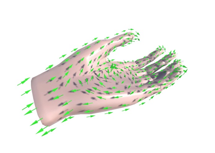 Biofields in Virtual Reality – screenshot 3