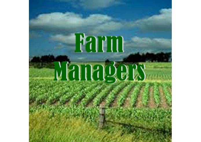 Farm manager – screenshot 1
