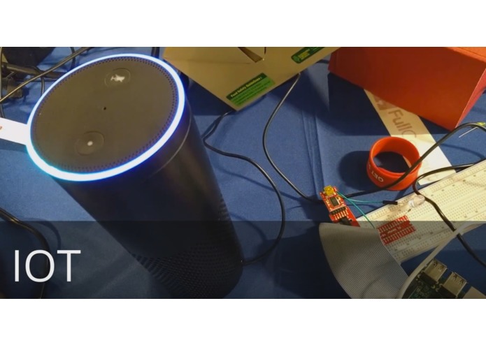 EchoMania – screenshot 2