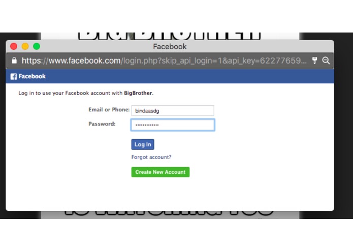 BigBrother – screenshot 2