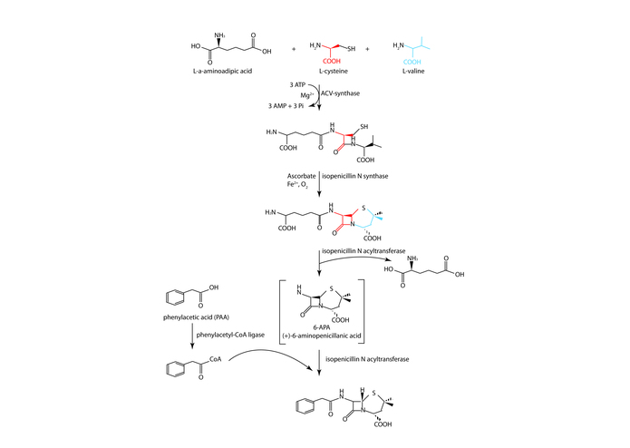 Sound Science – screenshot 1
