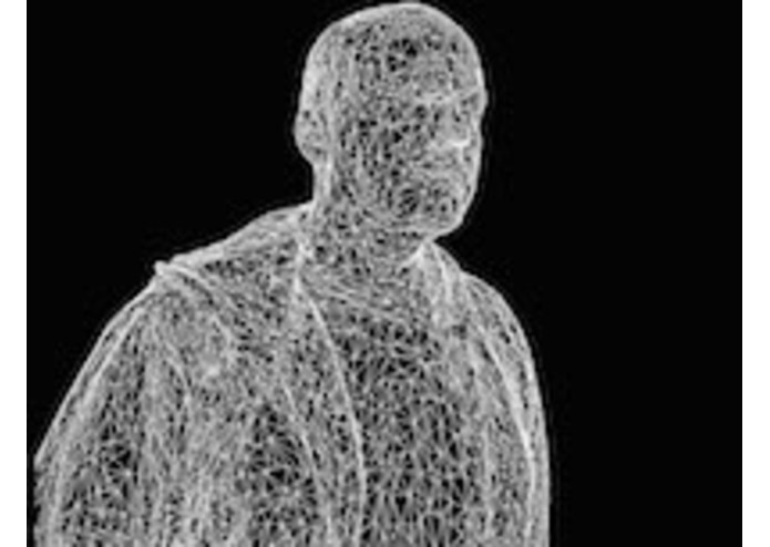 LifeMesh – screenshot 1