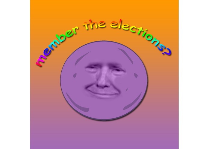 member-the-elections – screenshot 1