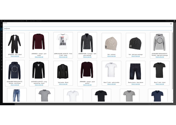 shop in blog – screenshot 9