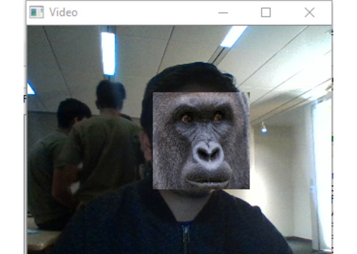 Long Live Harambe – screenshot 1