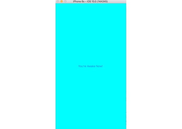 plsChuck – screenshot 5