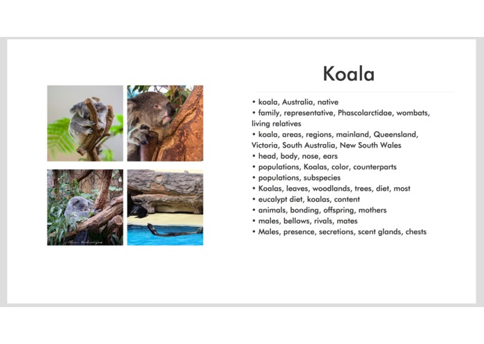 Succinct  – screenshot 4