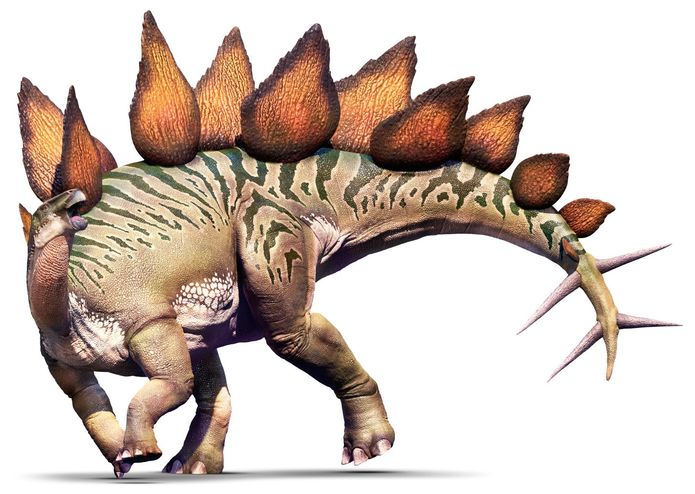 Stegosaurus – screenshot 2