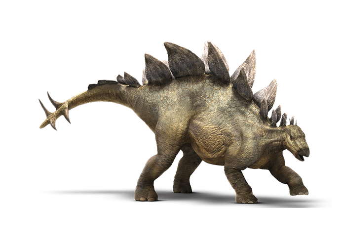 Stegosaurus – screenshot 3