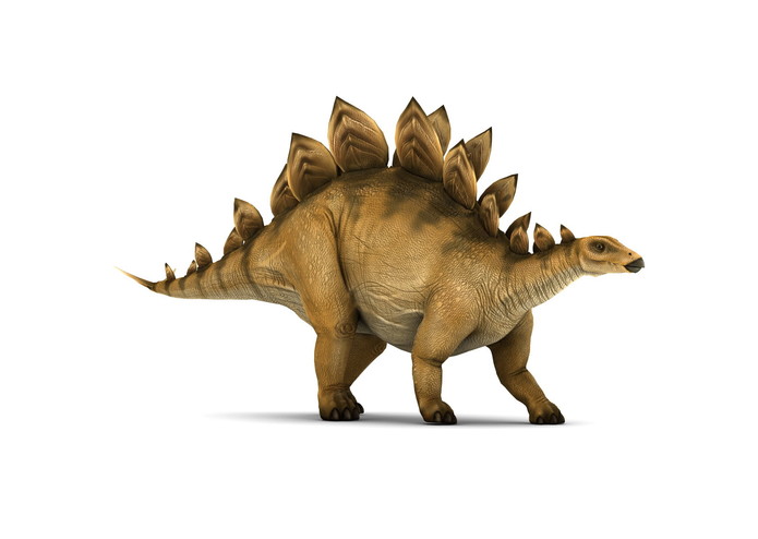 Stegosaurus – screenshot 5