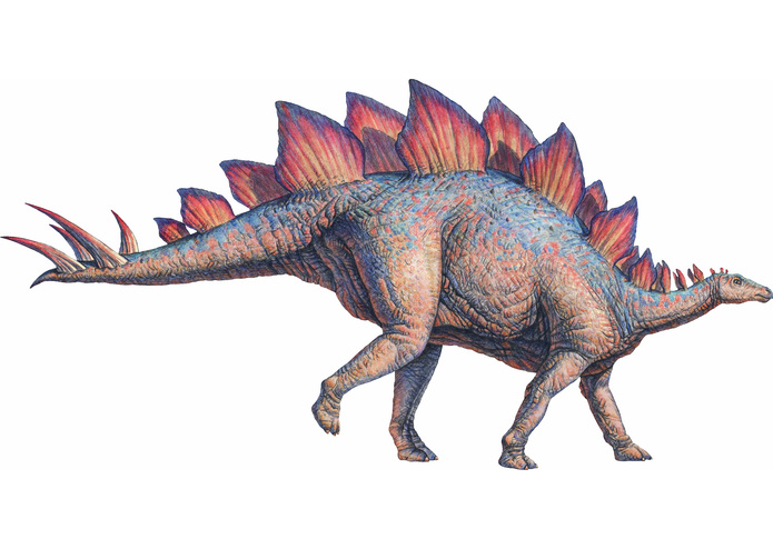 Stegosaurus – screenshot 1