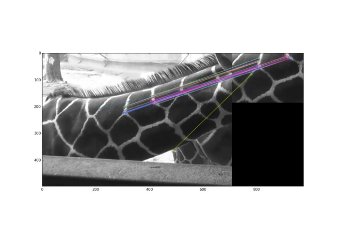 GiraffeSaver – screenshot 2