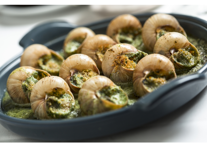 LINGO VR – screenshot 1