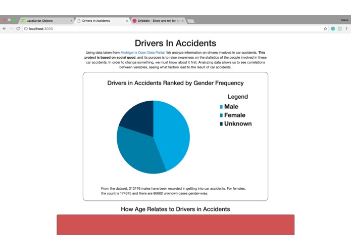 DriversInAccidents – screenshot 1
