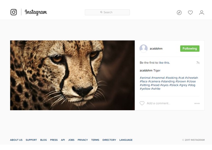 InstaVision – screenshot 4
