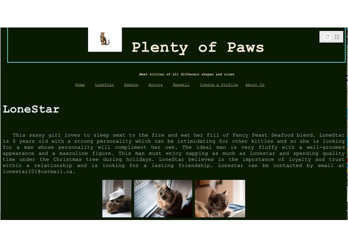 Plenty of Paws – screenshot 2