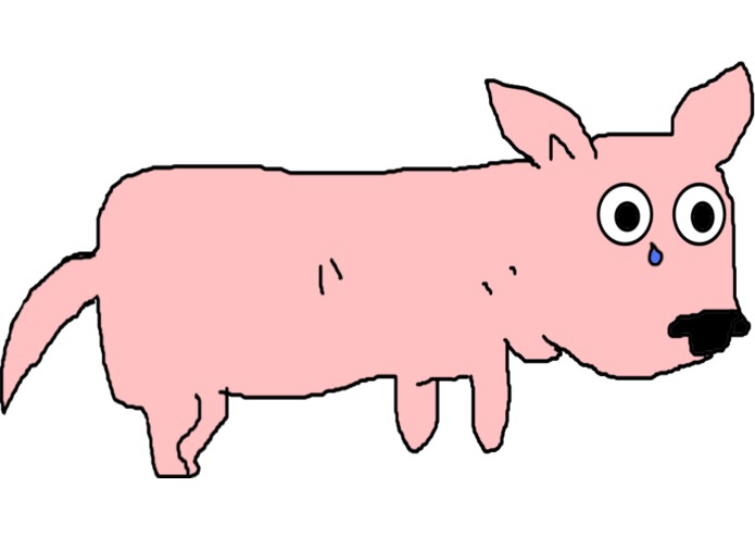 Pepe the Hypoallergenic Therapy Dog – screenshot 3