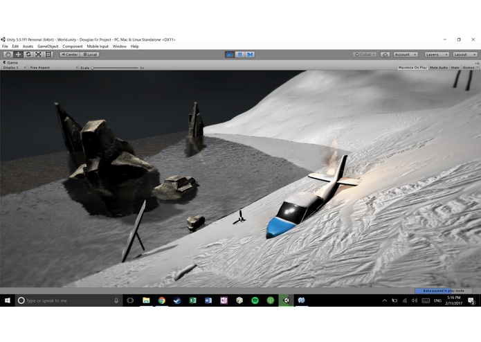 Douglas Fir Project – screenshot 3