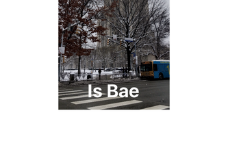 What Does This Meme?