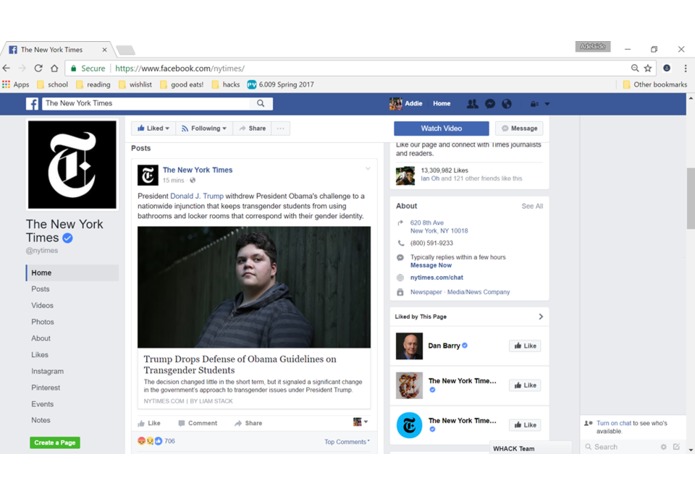 Facebook Inspector [FBI] – screenshot 1