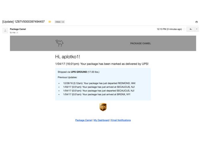 Package Camel (12D) – screenshot 5