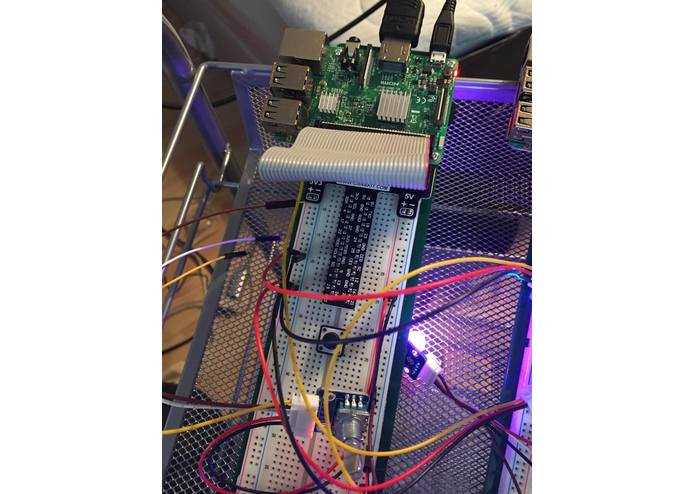 Wolfie-Home – screenshot 1