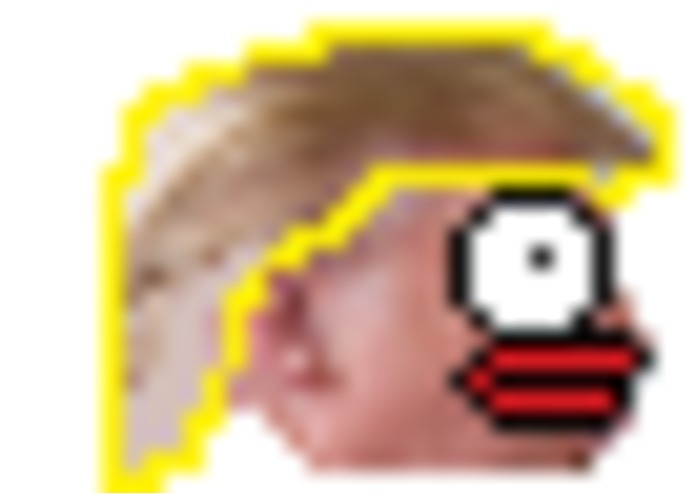 Frumpy Bird – screenshot 5