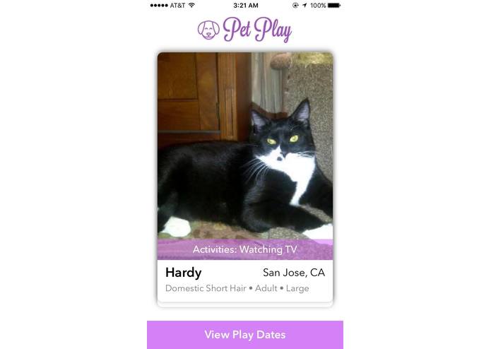 PetPlay – screenshot 1