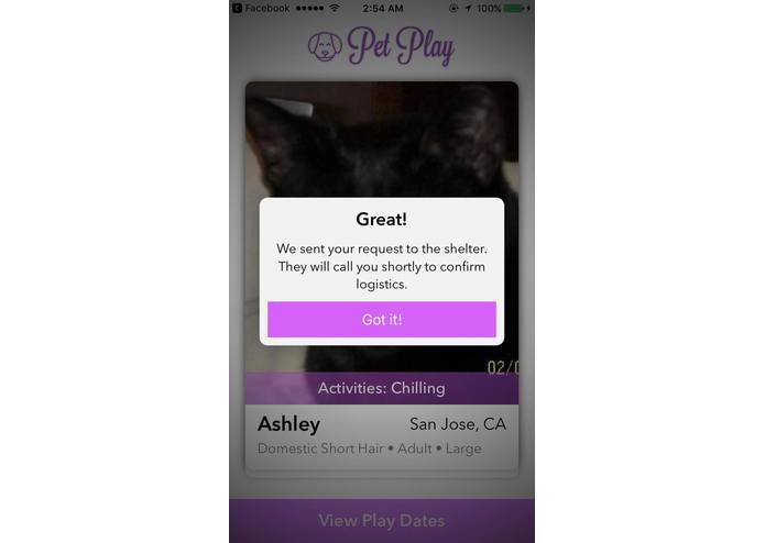 PetPlay – screenshot 4